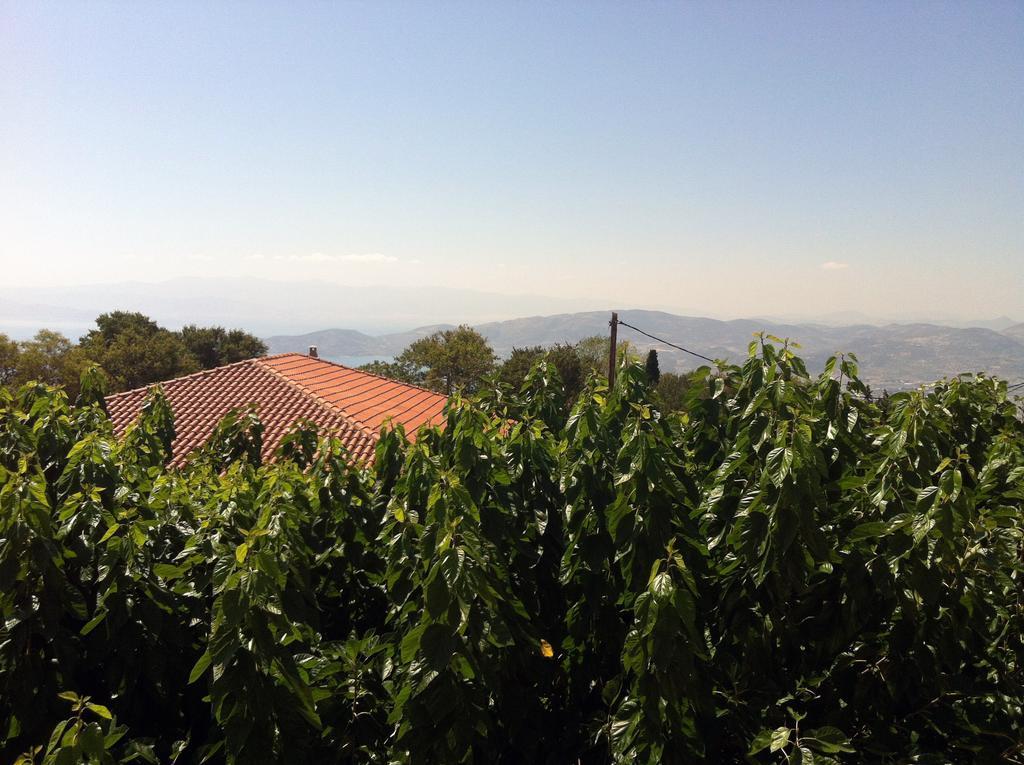 Guesthouse Kolenti Portariá Kültér fotó